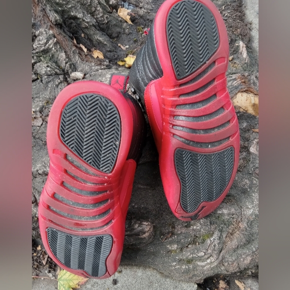 The Air Jordan 12 Flu - Picture 7 of 9